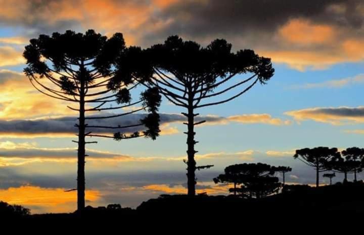 Apartamento Em Cunha Apartment Bagian luar foto